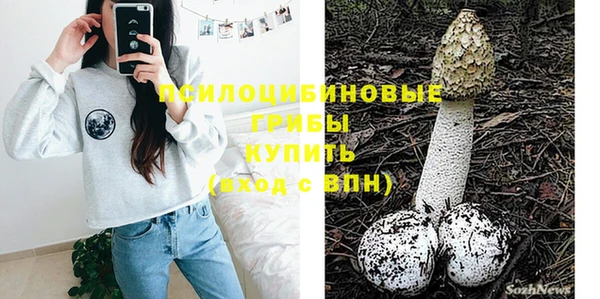 PSILOCYBIN Верхнеуральск