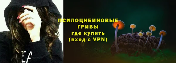 PSILOCYBIN Верхнеуральск