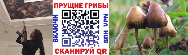Галлюциногенные грибы GOLDEN TEACHER  Зубцов 